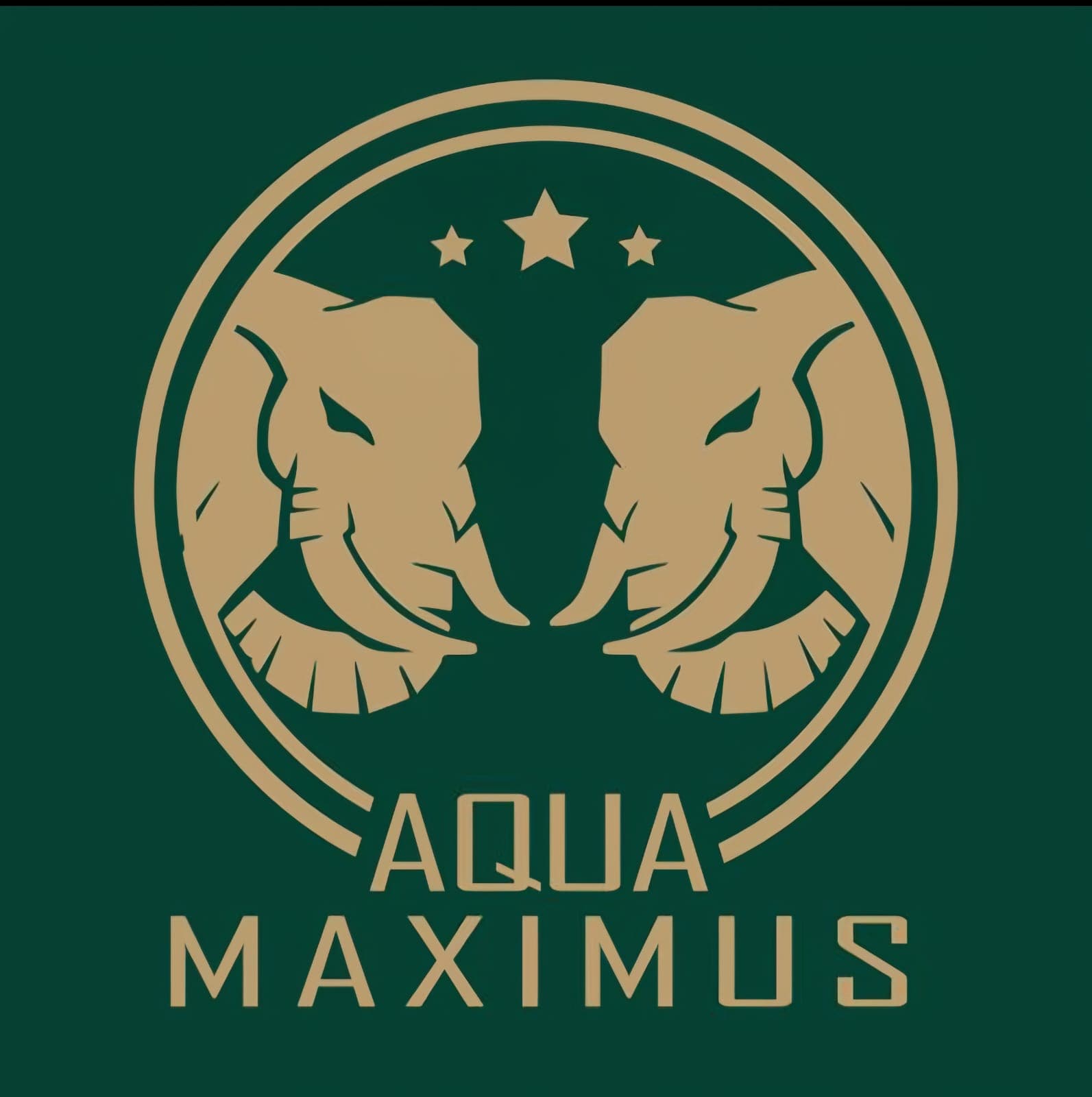 Aqua Maximus Logo